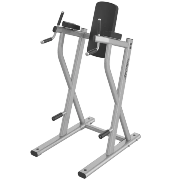 life fitness Life Fitness Dip/Leg Raise