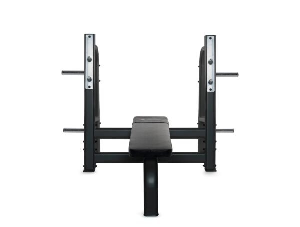 Olympic Weight Bench Plate Loaded